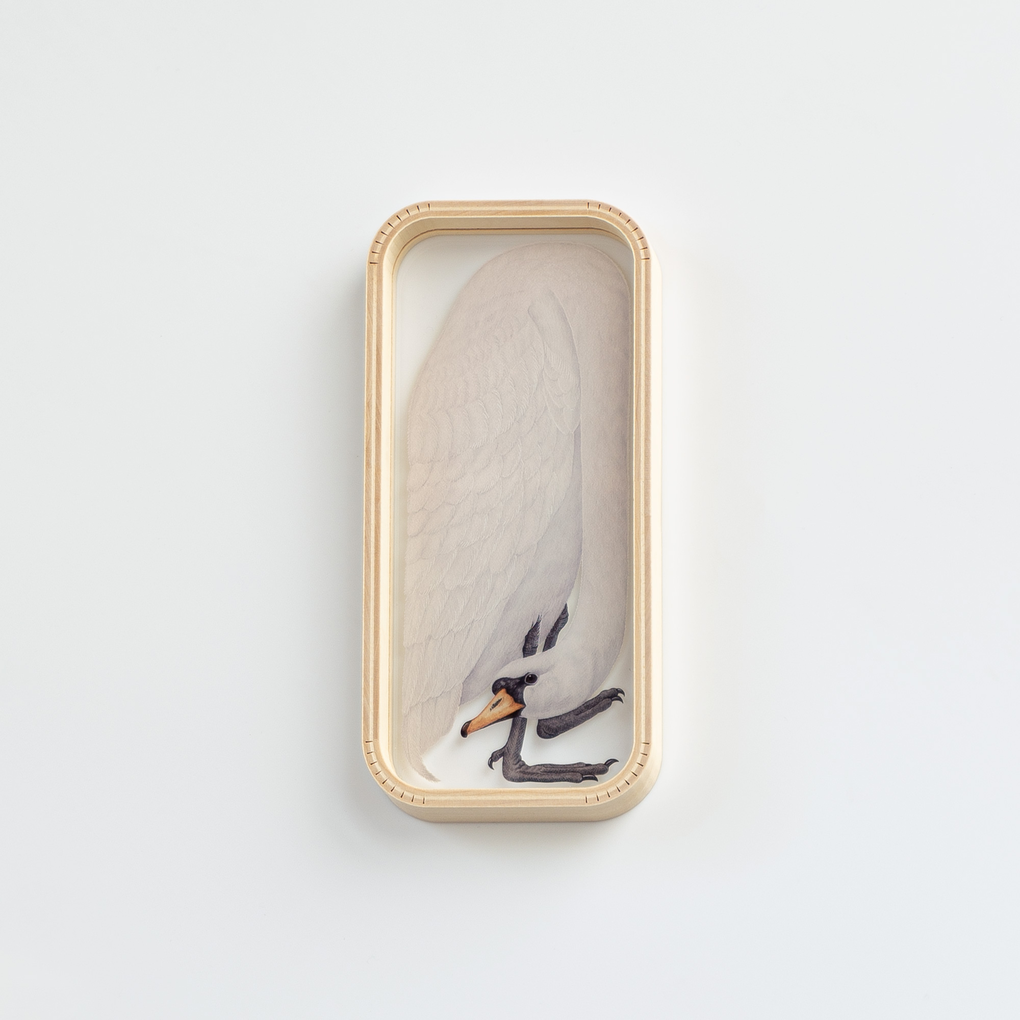 PEN TRAY (white swan)