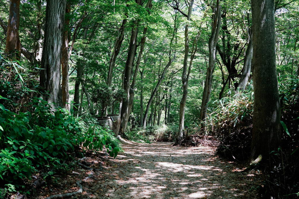 NICOLAI BERGMANN HAKONE GARDENS